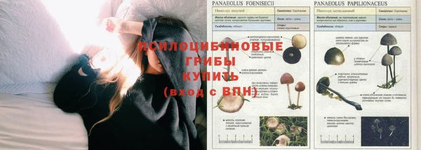 а пвп мука Ельня