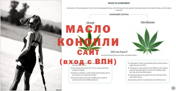 а пвп мука Ельня