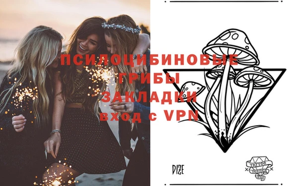 круглые Елизово