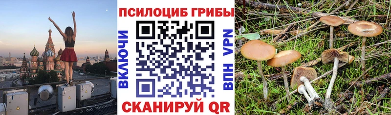 Псилоцибиновые грибы ЛСД  где купить   Норильск 